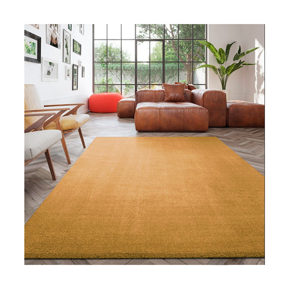 CARPET SENSE