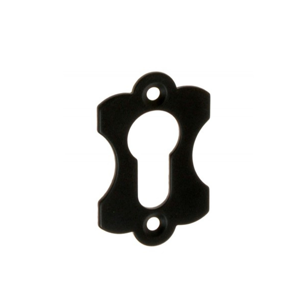 LOCK HOLE LID 12 60Χ38Χ2MM WITH 2 SCREWS METAL BLACK