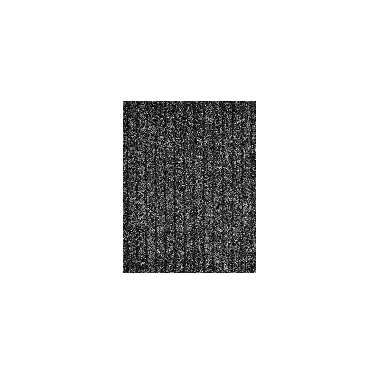 ENTRANCE MAT CARPI 50Χ70CM