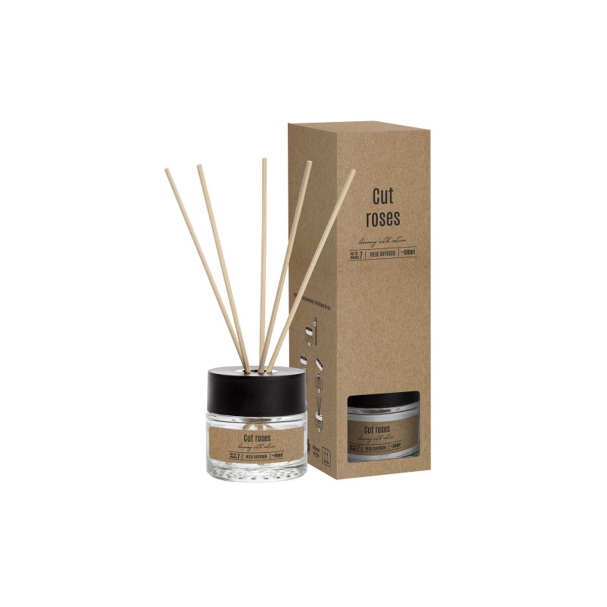 DIFFERENTIAL AROMATIC SPACE GLASS WITH LIQUID AND STICKS