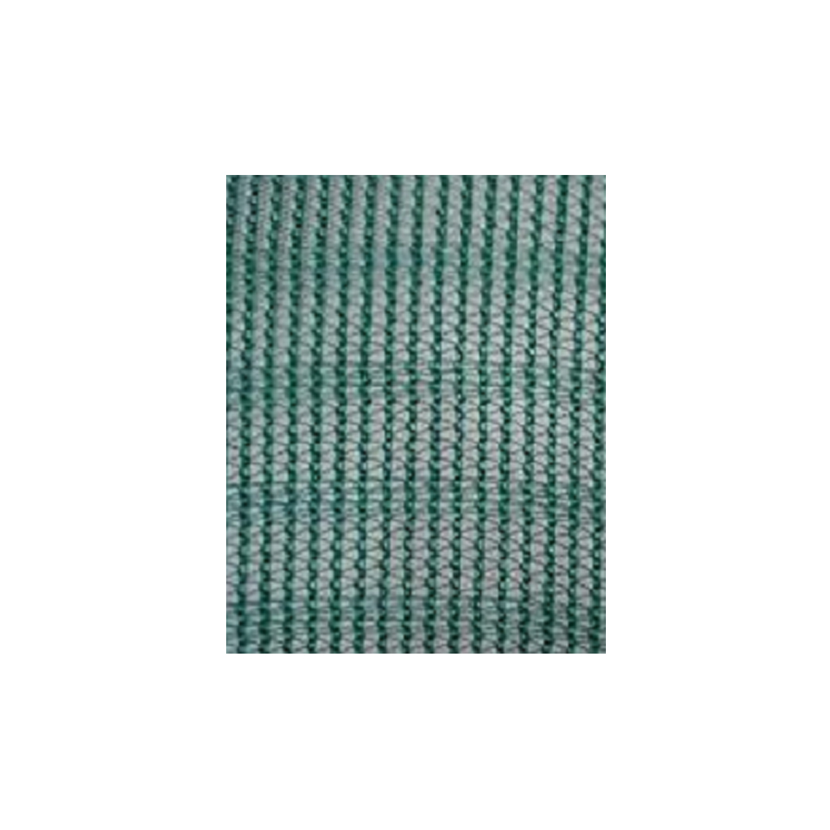 OLIVE NET